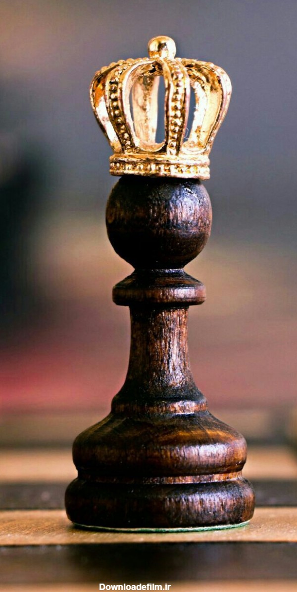 مانند شاه شطرنج باش وقتی که باخت کسی جرئت خندیدن بهشو ندا - عکس ویسگون