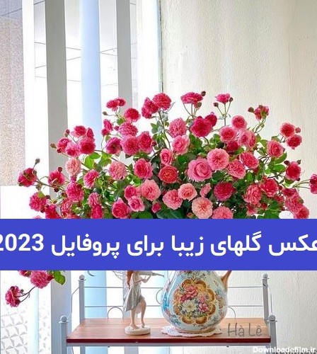 عکس گلهای زیبا برای پروفایل 2023; بدون متن و بسیار زیبا