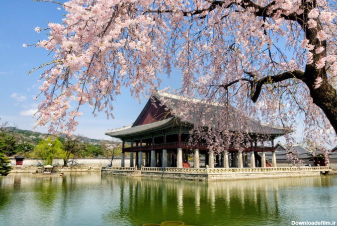 بهترین دیدنی‌های کره جنوبی + عکس (1402) | بامبو اکوتور Bamboo Ecotour
