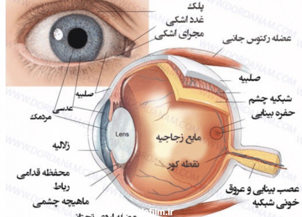 ساختمان چشم - کلینیک چشم پزشکی پارسیان