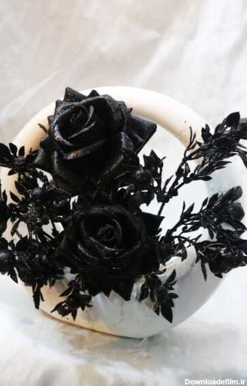 گل رز سیاه, گل رز مشکی هالفتی