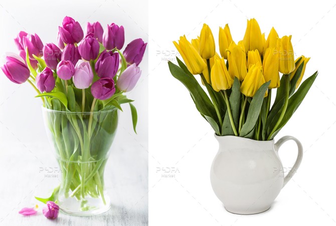 دانلود 15 تصویر استوک دسته گل لاله داخل گلدان با کیفیت بالا 93456 ...