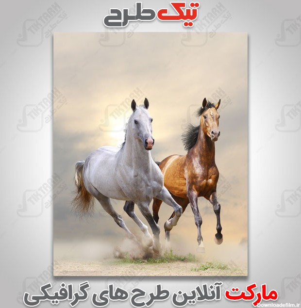 عکس با کیفیت اسب های سفید و قهوه ای