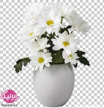 دانلود عکس دوربری شده گلدان گل سفید