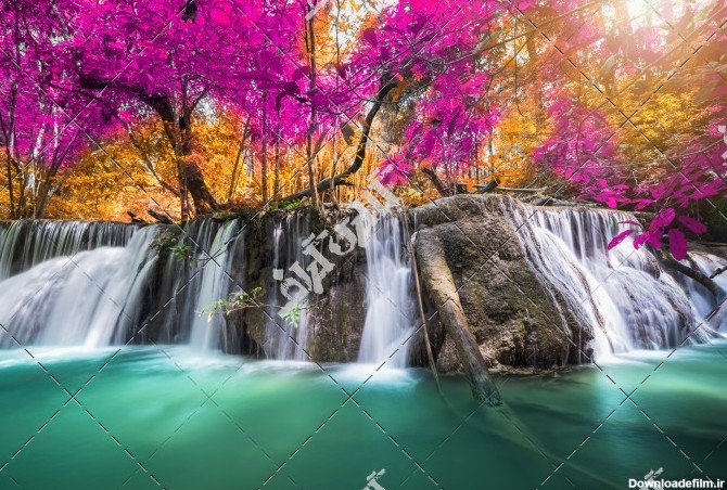 منظره زیبا از آبشار و جنگل و گل