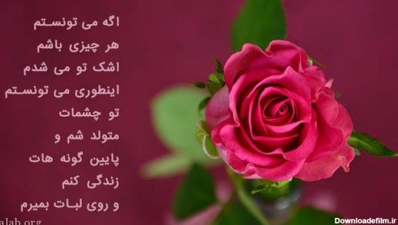 عکس پروفایل گل های زیبا و عاشقانه با کیفیت بالا