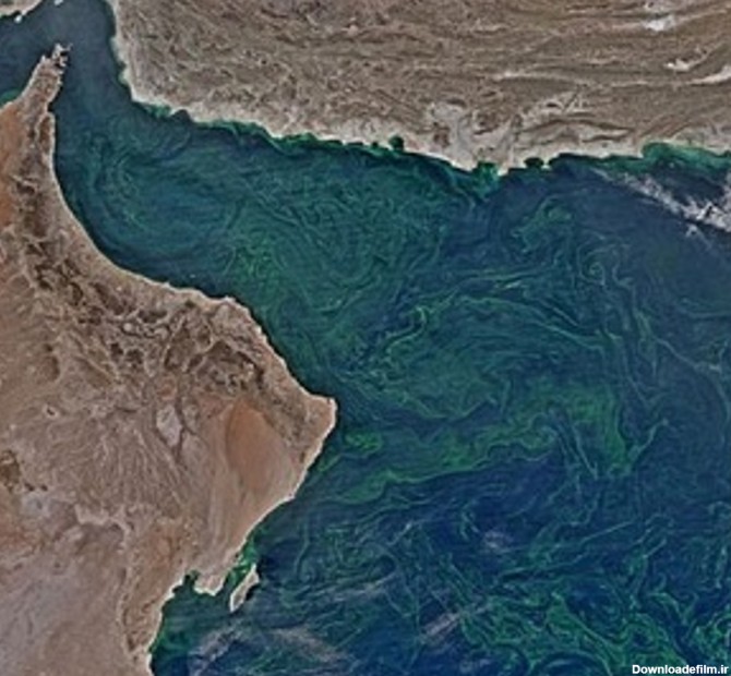منطقه مرده در دریای عمان با مساحتی بیش از اسکاتلند