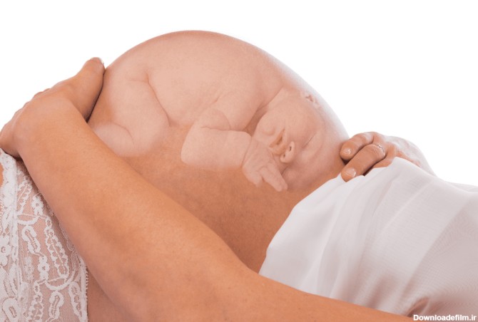رازهای خواب جنین در رحم مادر - پینو بیبی