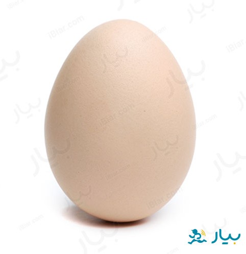 تخم مرغ تکی - فروشگاه اینترنتی بیار