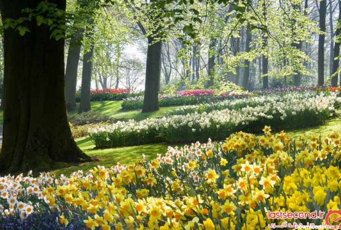 تصاویری خارق العاده از فصل زیبای بهار در سراسر جهان | لست‌سکند