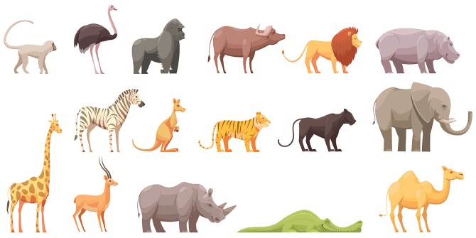 لیست کامل اسامی حیوانات به زبان انگلیسی