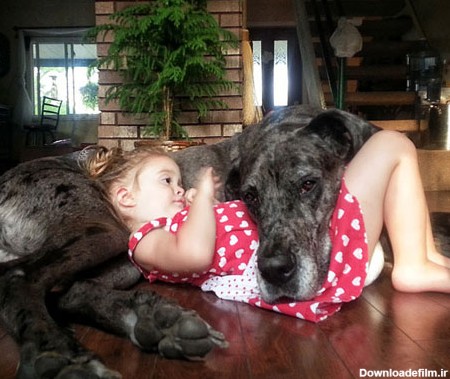 عکس: روابط عاطفی سگ‌ها و کودکان