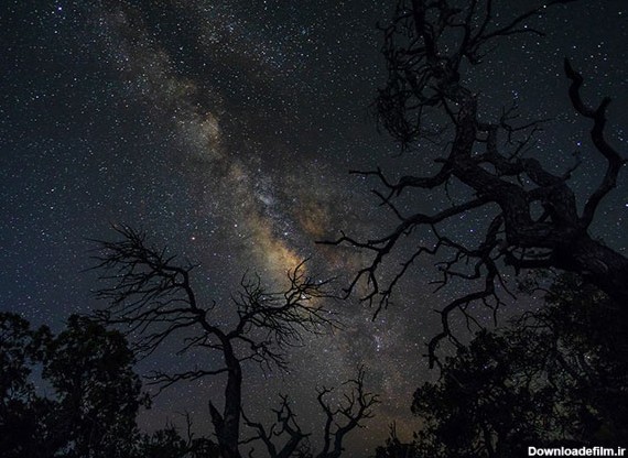 آموزش عکاسی: شش قاتل عکاسی از آسمان شب | لنزک