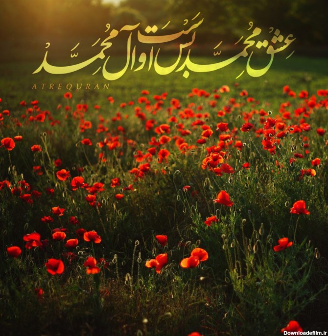 عشق محمد بس است و آل محمد ص طرح 1 – عطر قرآن