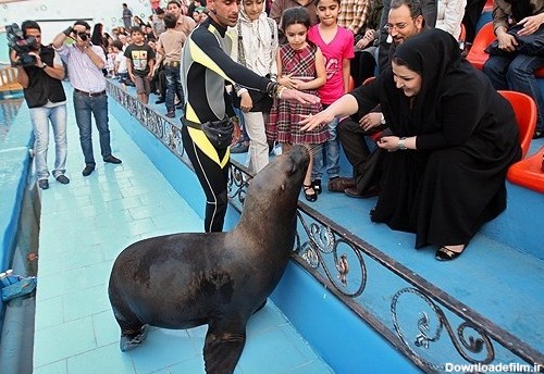 تصاویر/ پارک دلفین های برج میلاد