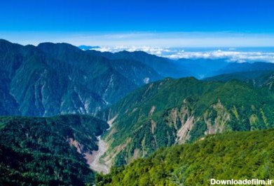 دانلود عکس جنگل در تایوان
