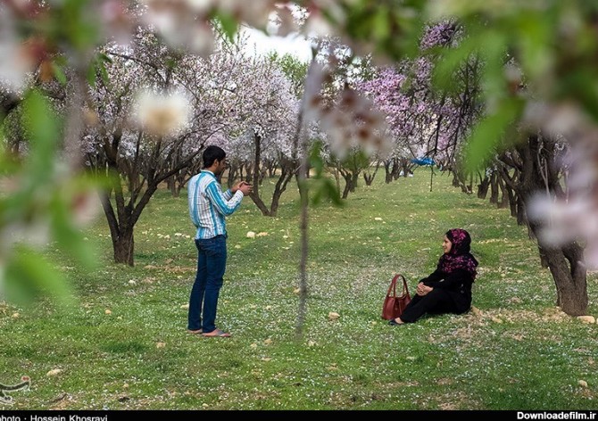 عکسهای طبیعت بهاری شیراز