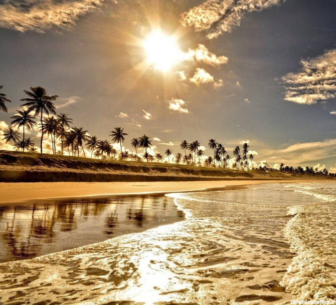 عکس زمینه طلوع طلایی لب ساحل پس زمینه | والپیپر گرام