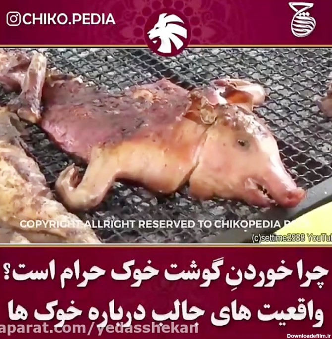 ⭕️ دلایل علمی حرام بودن گوشت خوک