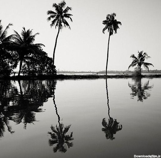 عکسهای سیاه و سفید از طبیعت