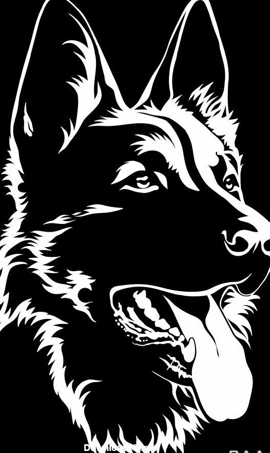 تصویر وکتوری سیاه و سفید از سگ ژرمن شپرد | باک