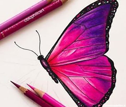 نقاشی پروانه با مداد رنگی