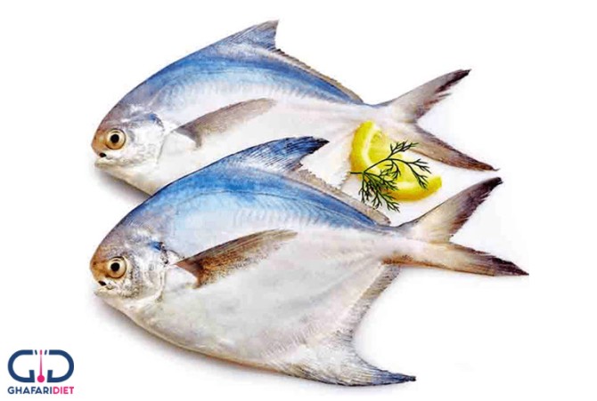 ماهی حلوا و درمان ۷ بیماری شایع
