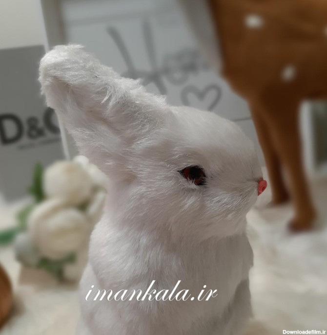 خرگوش سفید برفی متوسط – ایمان کالا