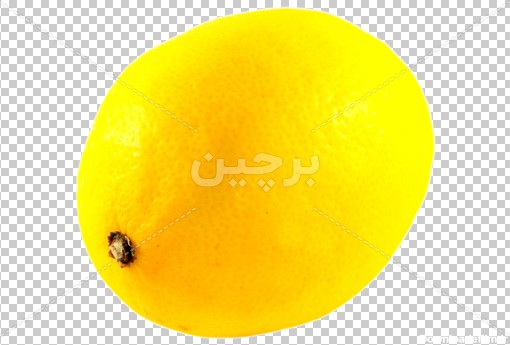 Borchin-ir-yellow lemon photo_png عکس لیمو شیرین با ابعاد بزرگ۲