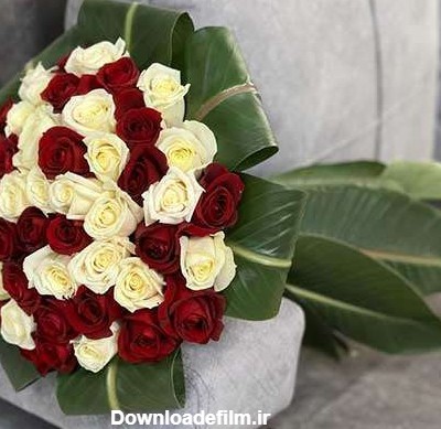 دسته گل رز قرمز و سفید 149 - گل فروشی آنلاین دل 09129410059