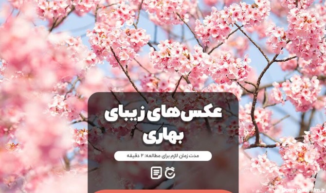 مجموعه عکس پروفایل برای بهار نزدیکه (جدید)
