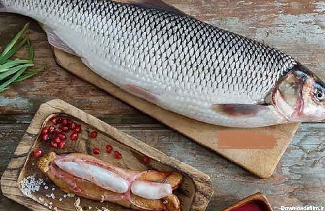 قیمت خرید ماهی سفید اصل عمده به صرفه و ارزان - آراد برندینگ