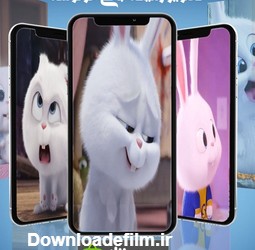 تصویر زمینه زنده بانی خرگوش - عکس برنامه موبایلی اندروید