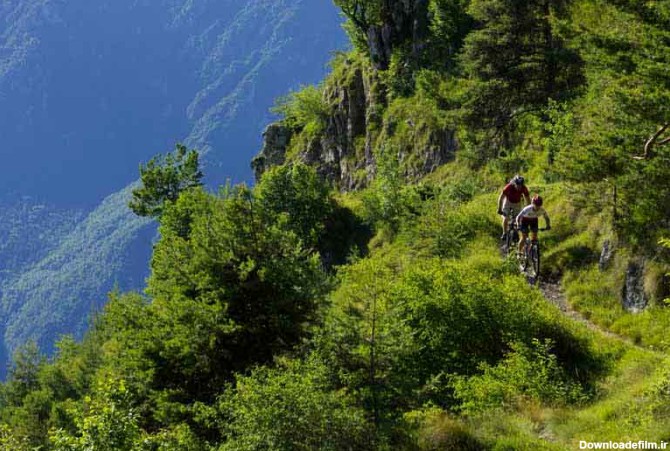 عکس زیبا از دوچرخه سوارها در کوه سبز