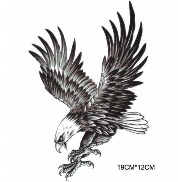عکس عقاب خالکوبی