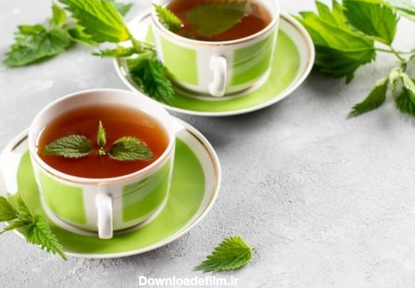 خواص و فواید چای پونه و درمان بیماری ها با دمنوش گیاهی