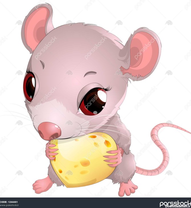 موش ناز پنیر در دست دارد 1244461