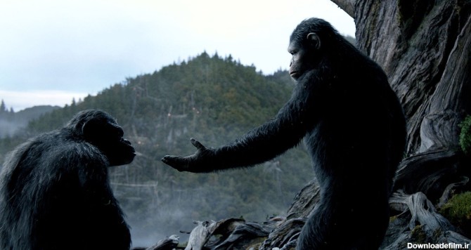 امپراطور ی میمون‌ها + خلاصه فیلم را در 30 دقیقه ببینید