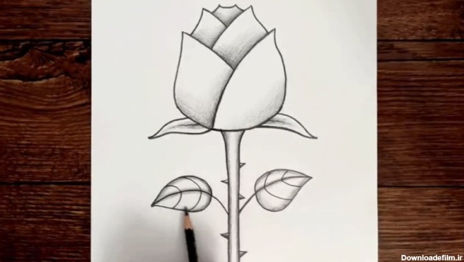 نحوه کشیدن گل رز آسان آموزش گام به گام گشیدن نقاشی گل رز