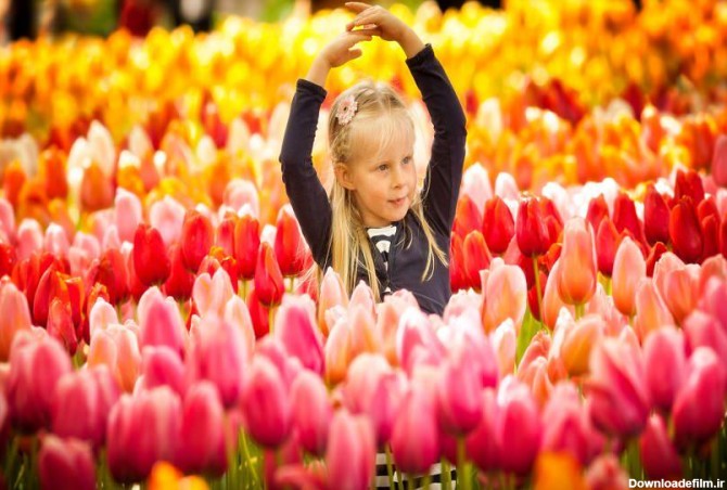 جشنواره باغ کوکنهف هلند، معروف‌ترین باغ گل جهان - کجارو