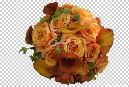 Borchin-ir-a bunch of yellow Rose flower free photo_png عکس دوربری شده دسته گل رز نارنجی۲