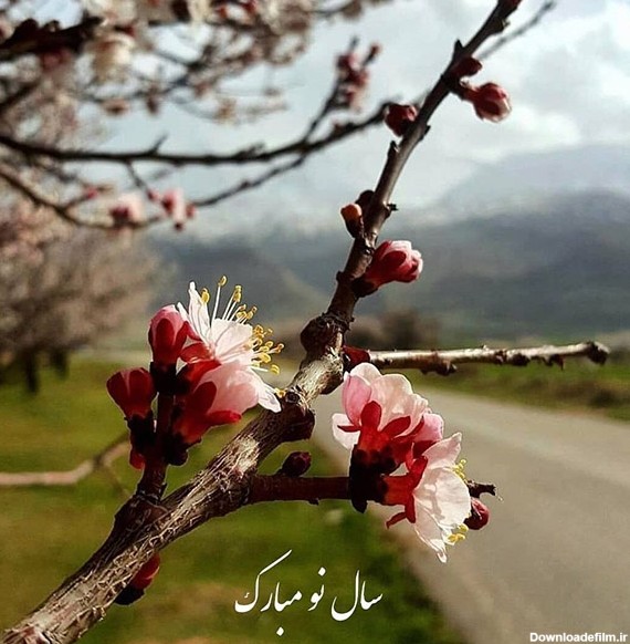عکس پروفایل عاشقانه بهاری + جملات و اشعار زیبای عاشقانه در مورد فصل بهار