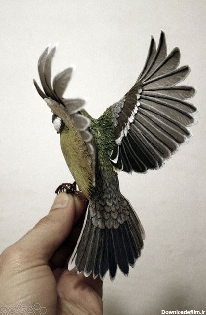 تصاویر پرنده های زیبا از جنس چوب و کاغذ - تسنیم