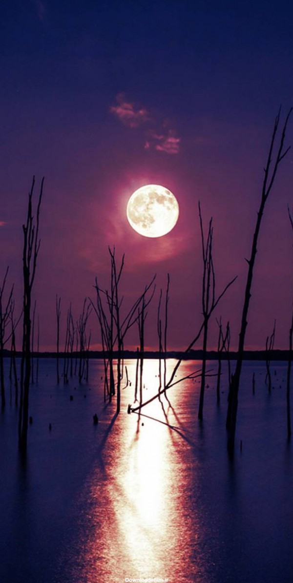 عکس زمینه شب مهتاب روی آب پس زمینه | والپیپر گرام