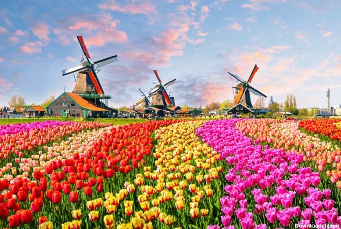 باغ‌های گل در هلند
