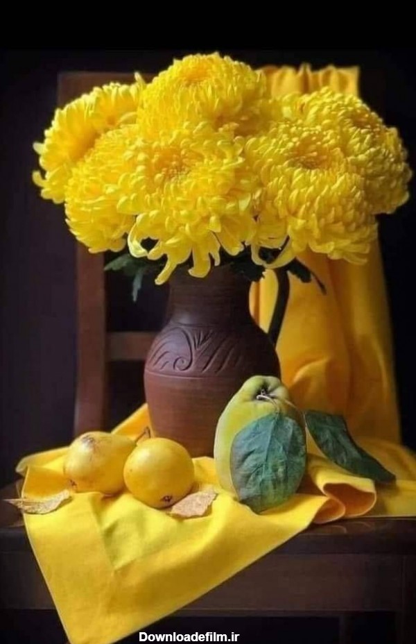 تصویر جدید از گل های زرد در گلدان شیک با کیفیت بالا