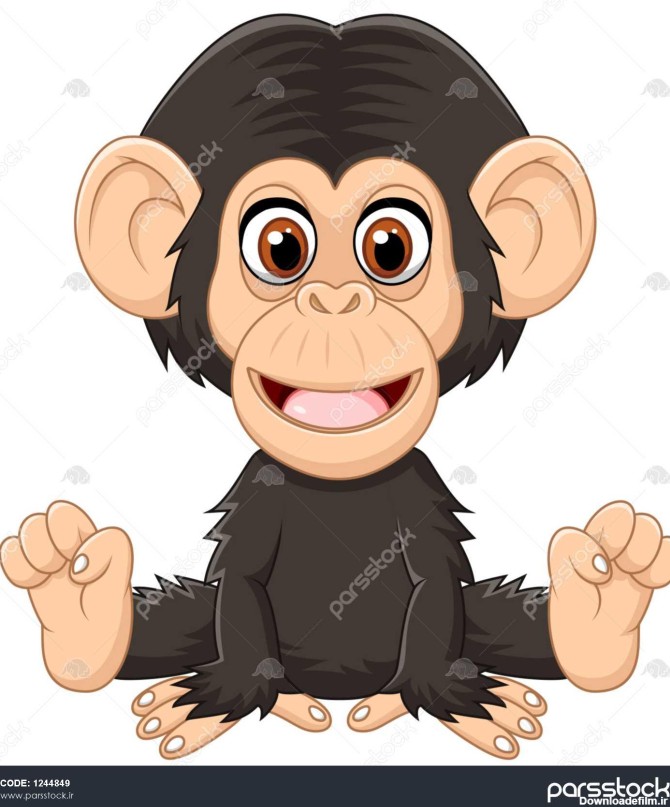 کارتون خنده دار بچه شامپانزه نشسته جدا شده در پس زمینه سفید 1244849