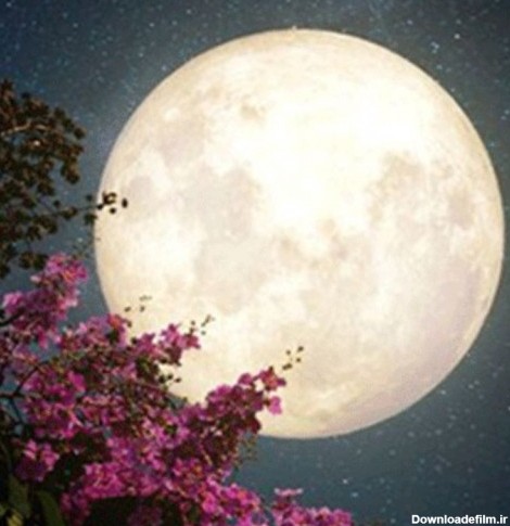 دیدن ماه در خواب چه تعبیری دارد؟ / تعبیر خواب ماه