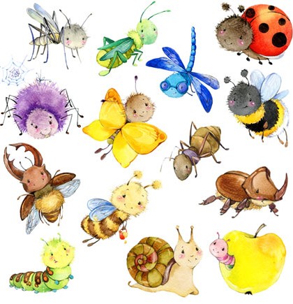 تصویر با کیفیت و کارتونی نقاشی شده حشرات مختلف