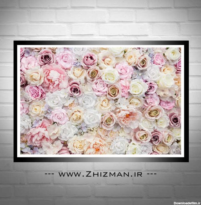 عکس انواع گل رز زیبا - خدمات طراحی و چاپ ژیزمان | zhizman.ir